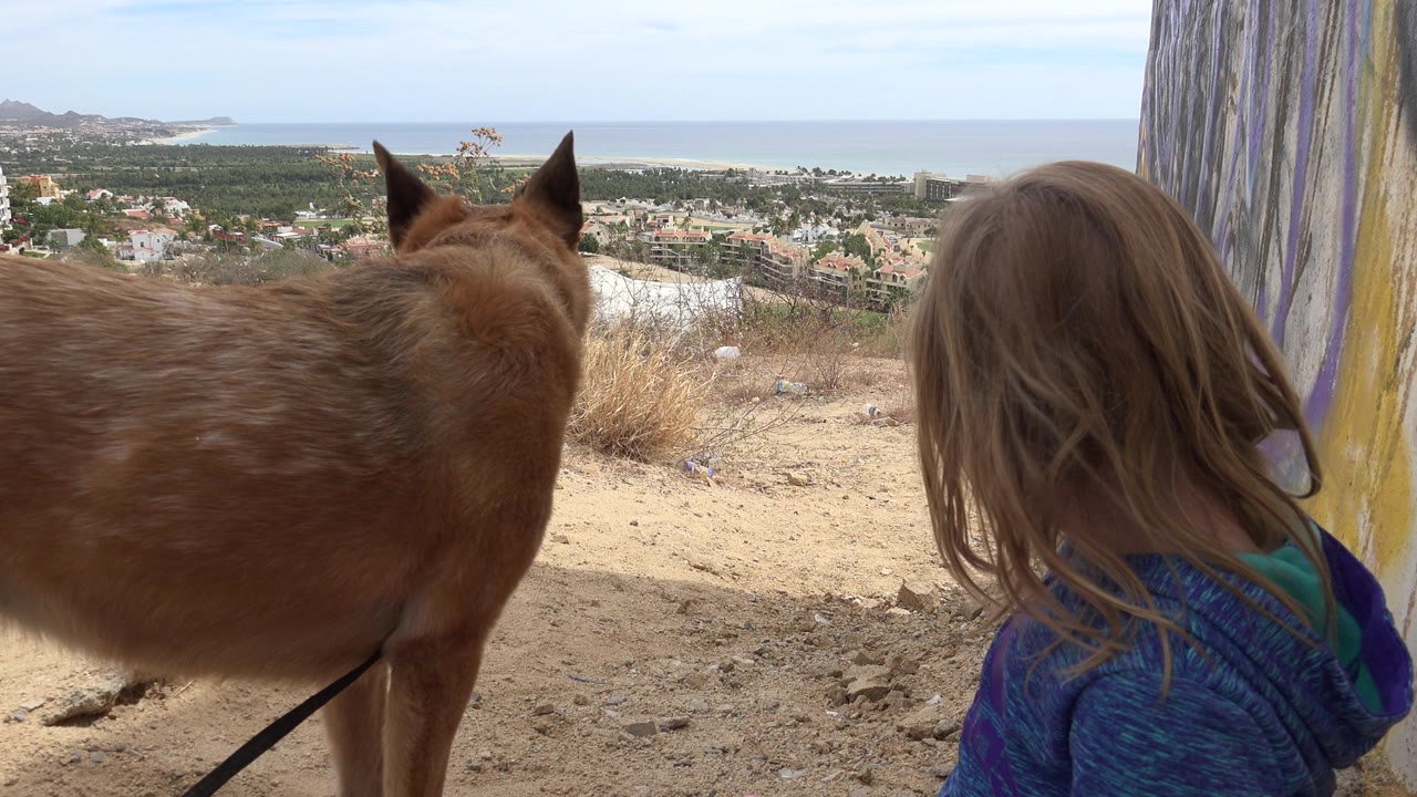 Brown dog and blond child seen from behind above a coastal town and ocean.