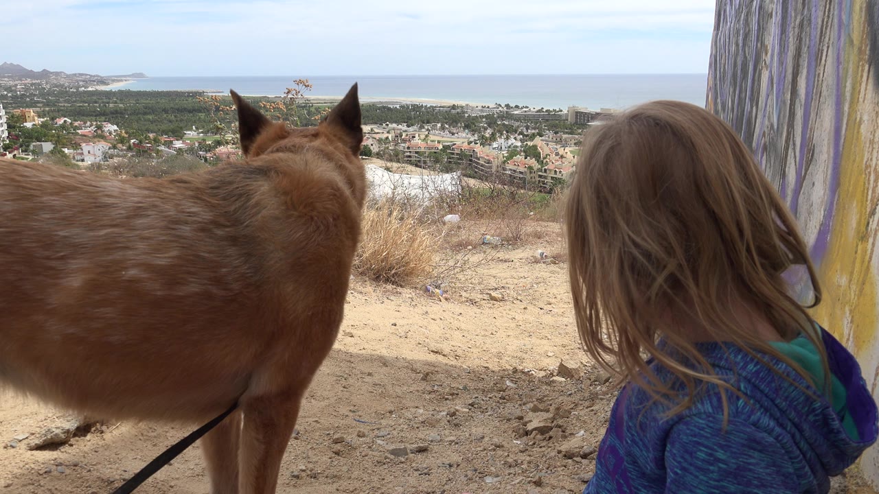 In Los Cabos, Mexico, the leashed brown dog stands close to the seated child while the background shows a spread of buildings, green land, and ocean under daylight.