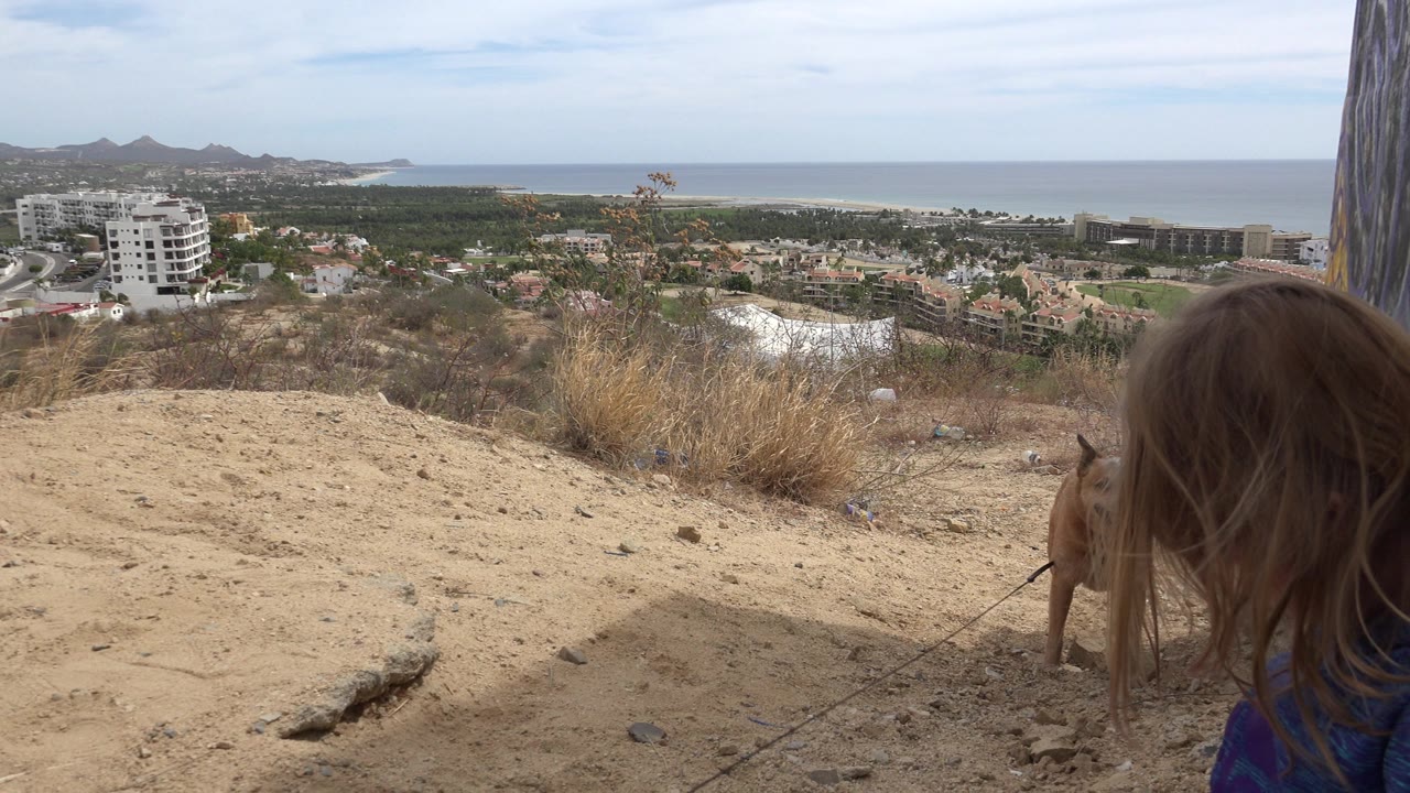 Girl seen from behind on a sandy hill with a dog and ocean beyond.