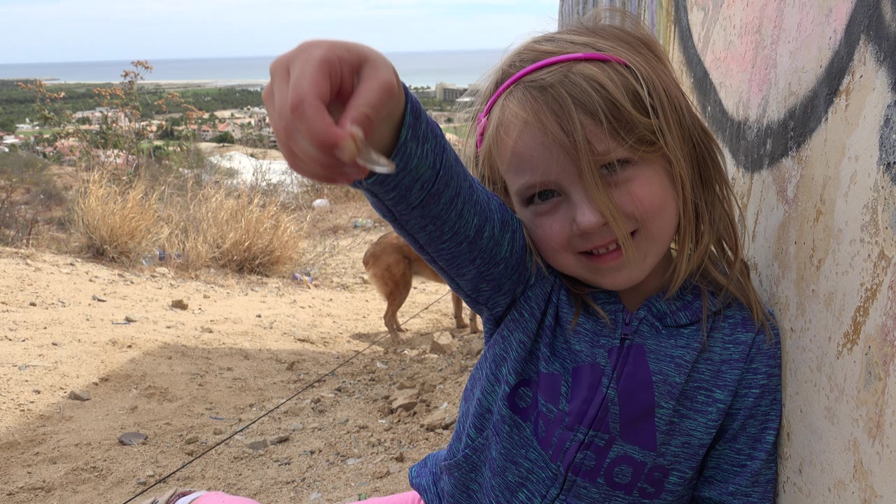 The Los Cabos frame keeps the girl's hand and small object high in the foreground, with her face partly covered by hair and a brown dog standing near dry brush in the background.