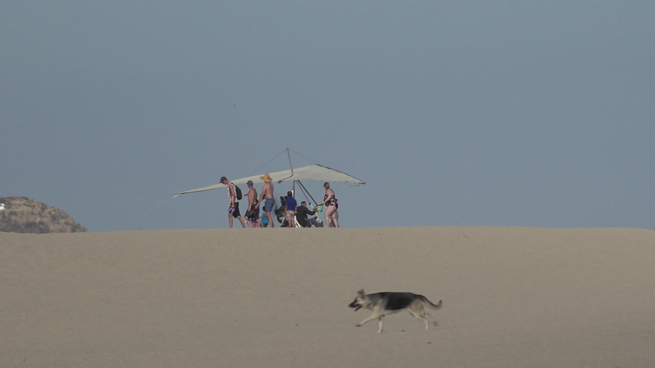 Dog runs across sand below beachgoers near a powered hang glider.