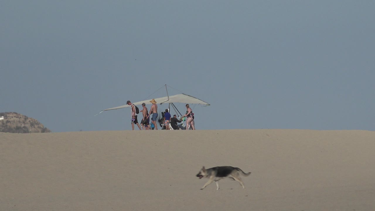 In Los Cabos, Mexico, the dog continues across the open sand as the group remains small in the background beside the powered hang glider.