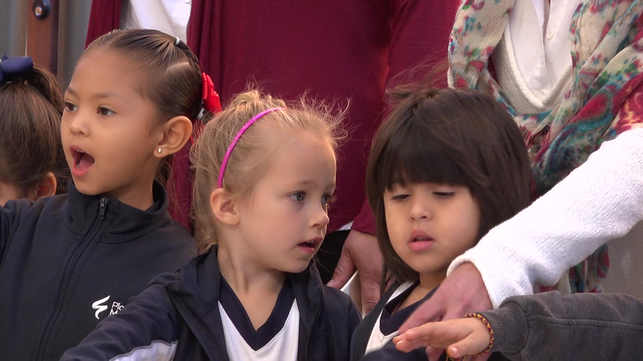 Toddlers seated close together with adults behind them.