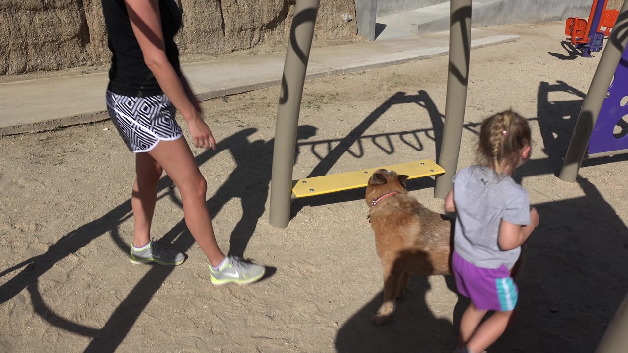 Woman walking as girl and dog stay near playground structure