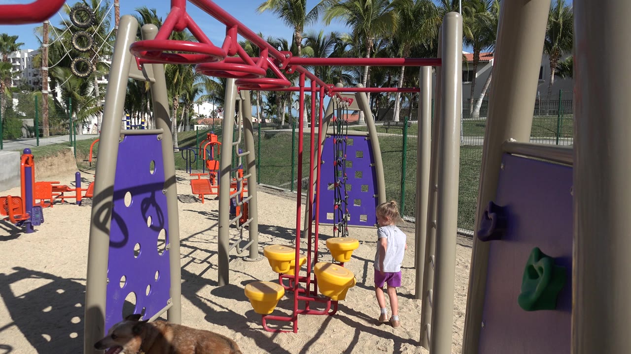 Child beside purple playground climbing panels on a sunny day.