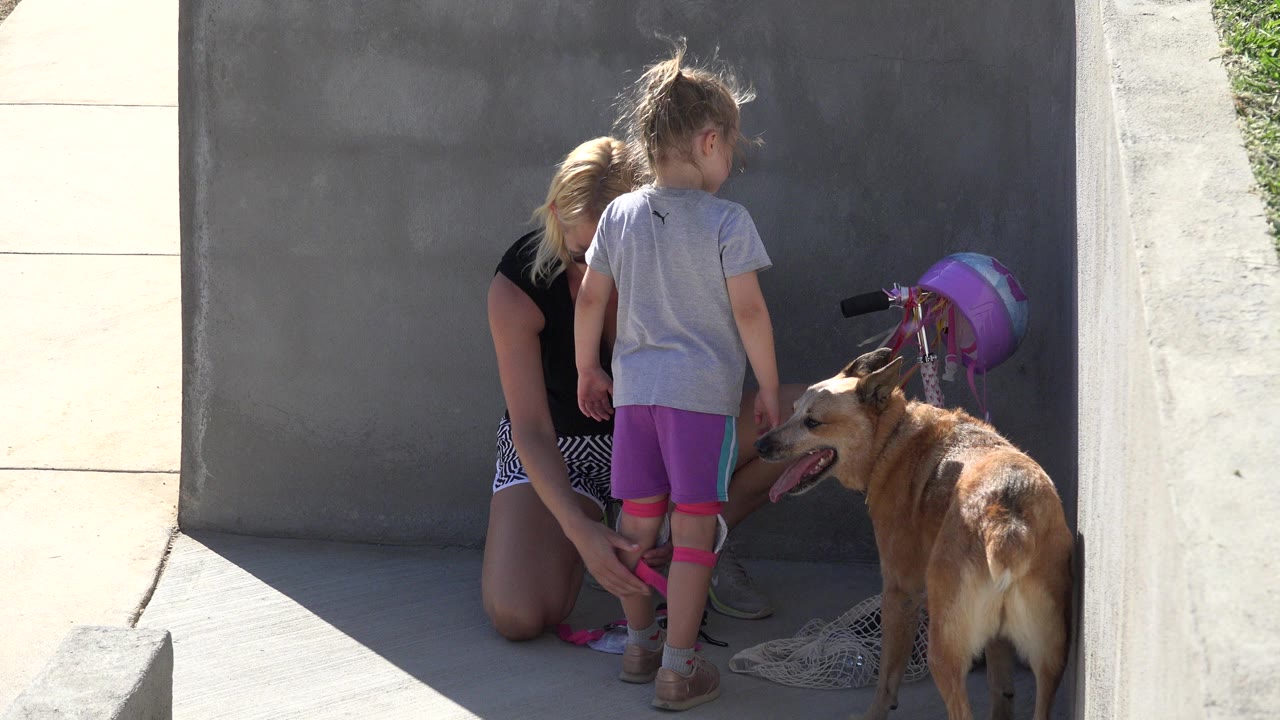 Two girls stand by a woman and a tan dog on sunlit pavement.