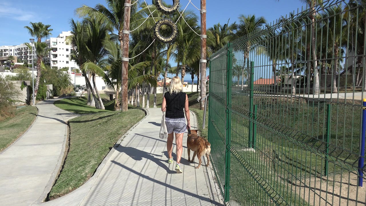 Blonde woman walking a dog on a sunny path beside a green fence.