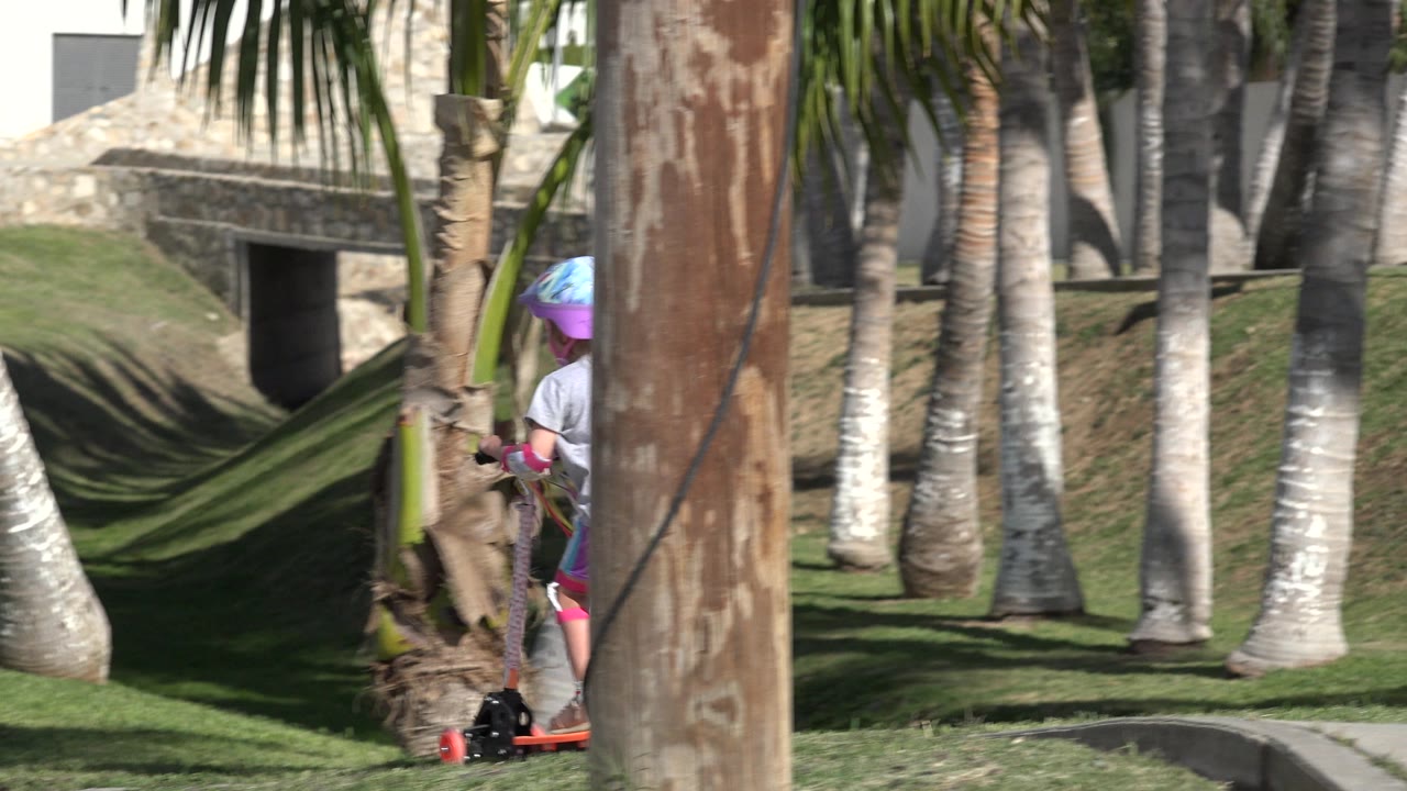 In San Jose del Cabo, Mexico, the child on the orange scooter moves from behind the foreground palm toward a curved path bordered by grass and palm trees.