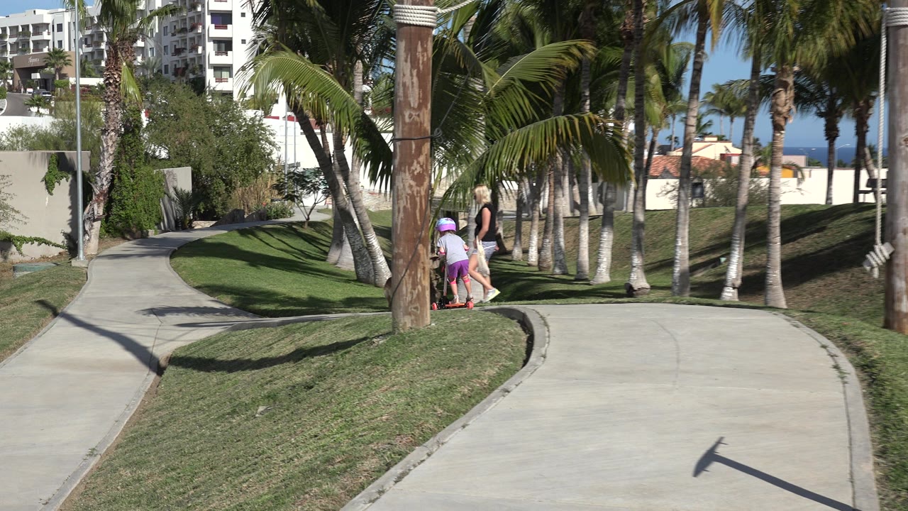Child on a scooter beside an adult on a palm-lined walkway.