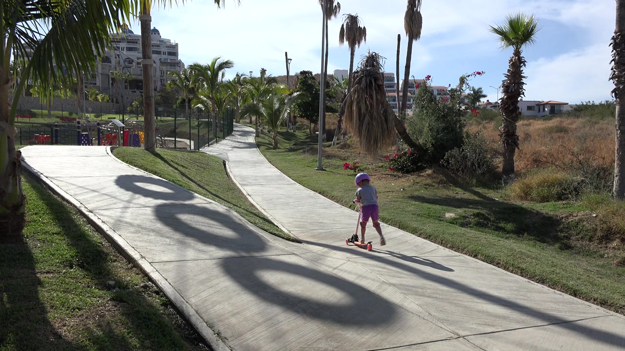 Young girl on a scooter on a sunny path with palm trees.