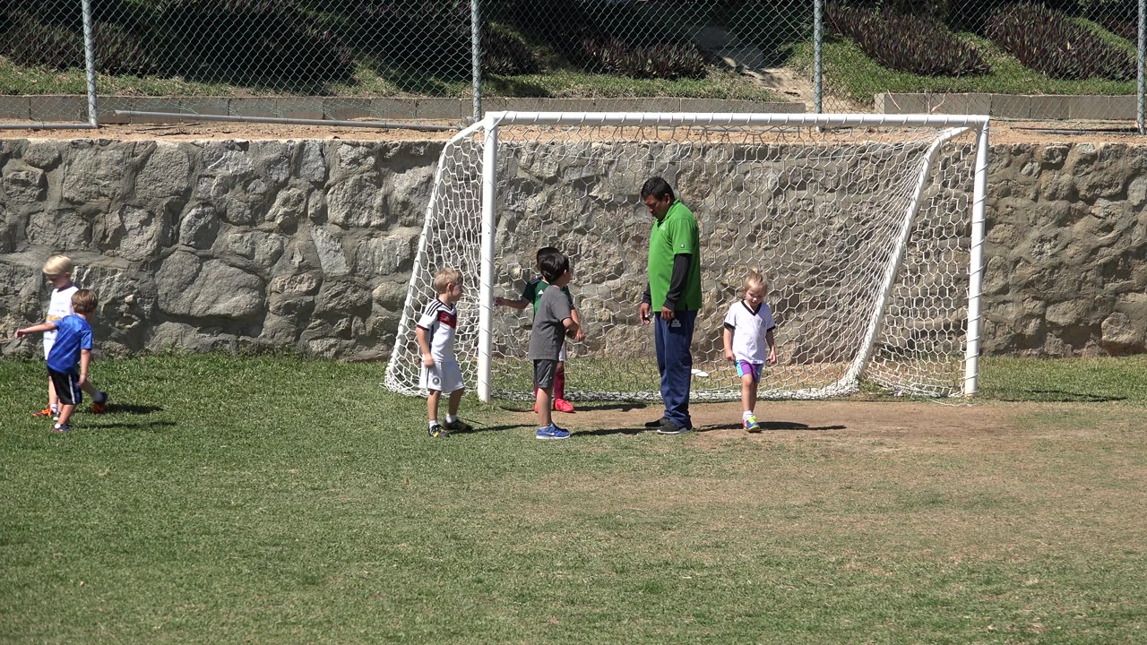 Children and an adult guide stand near a soccer goal on a grass field.