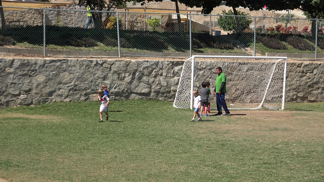 Children and an adult near a soccer goal on a grass field.
