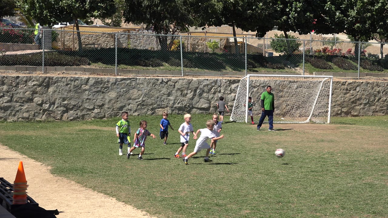 Children play soccer on a grass field near a white goal.