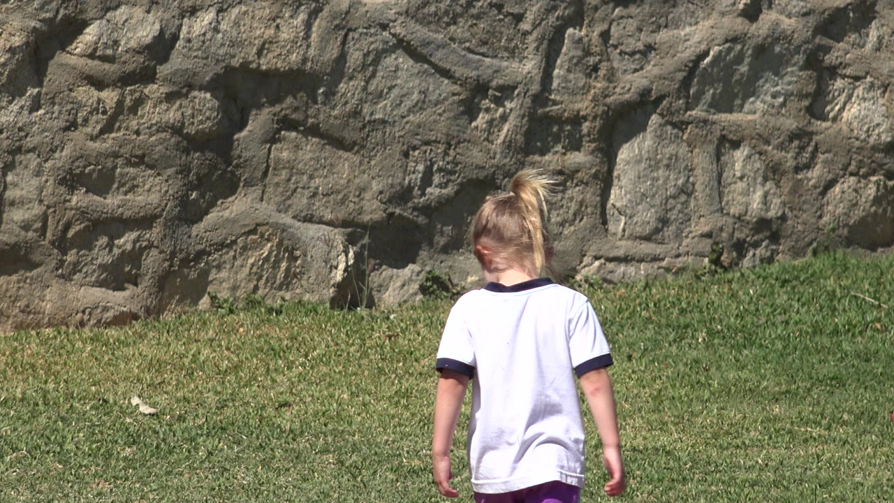 Child seen from behind on grass near a stone wall.