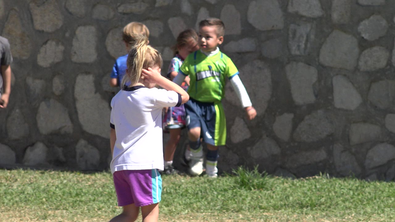 Children on a grass field near a stone wall