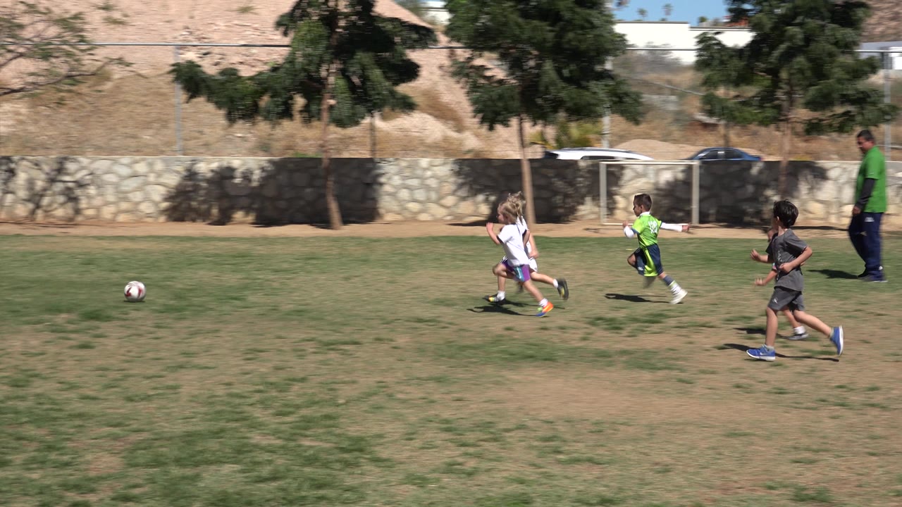 Children running after a soccer ball on a grass field.