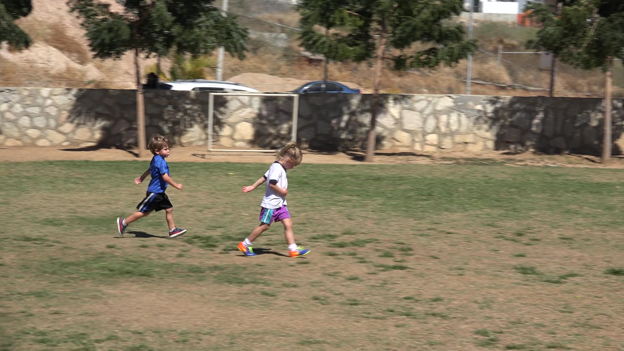 Children run after a soccer ball on a sunny grass field.