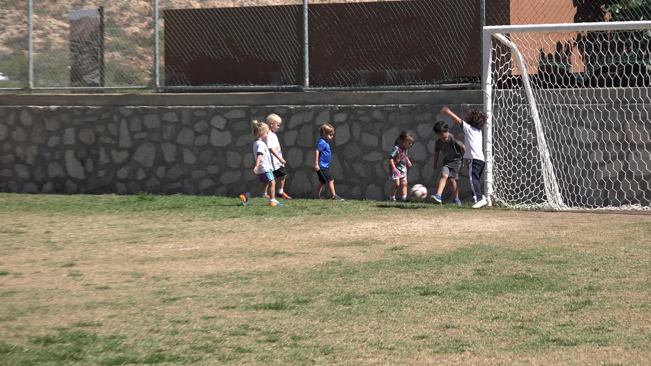 Children cluster around a soccer ball beside the goal.