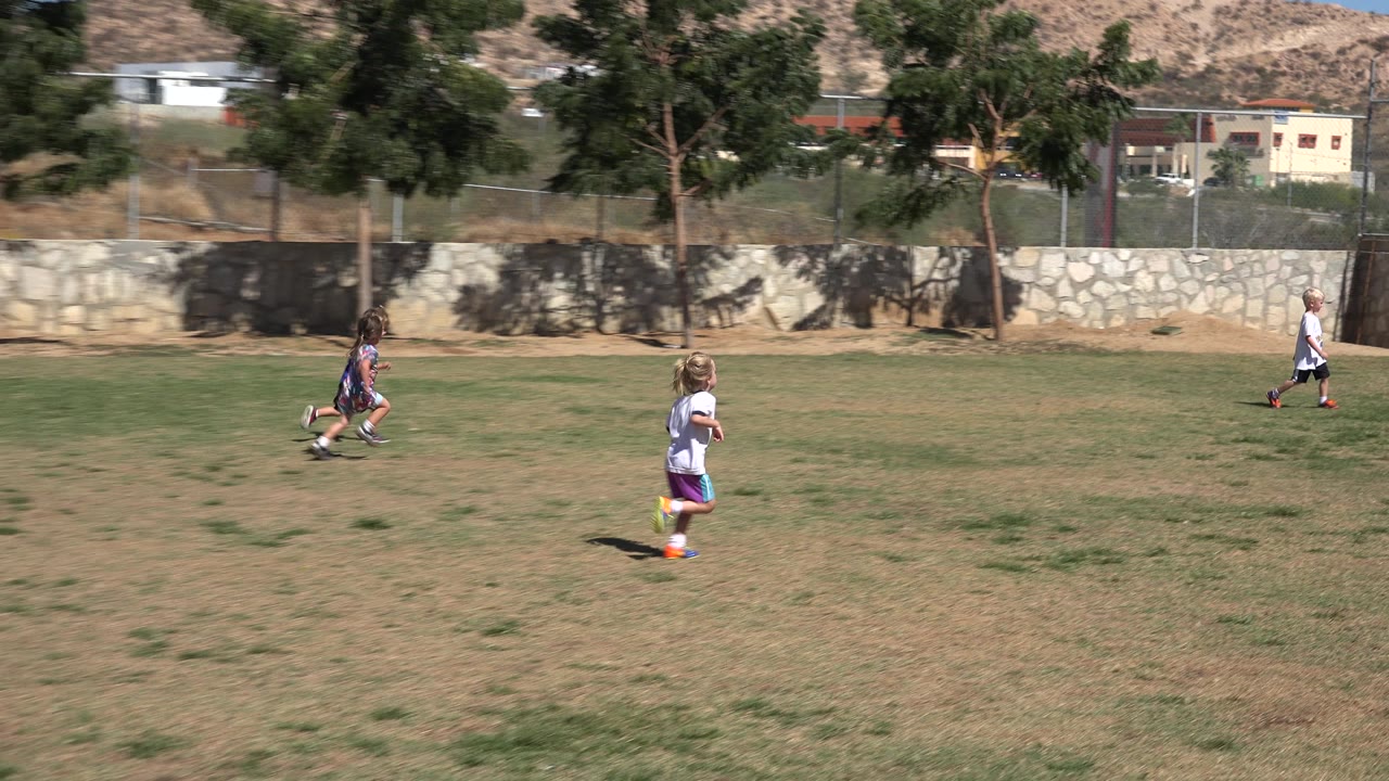 Children running across a sunlit grass field.