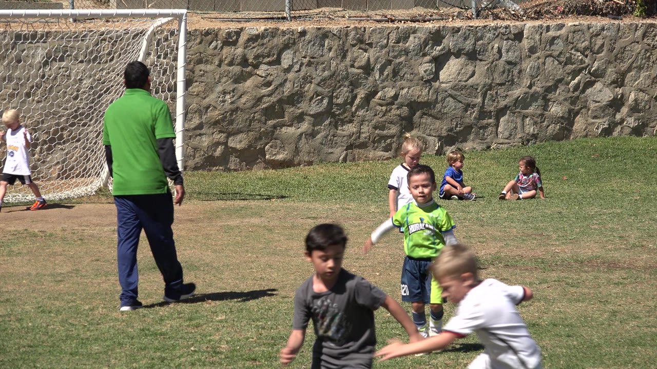 Children and a coach on a sunny soccer field near a goal.