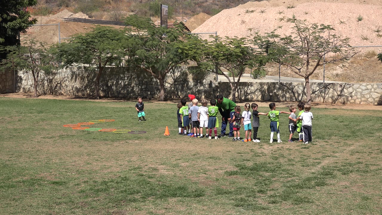 Children cluster around a coach on a sunlit sports field.