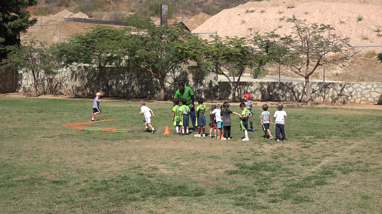 Children line up beside agility ladders on a grass field.