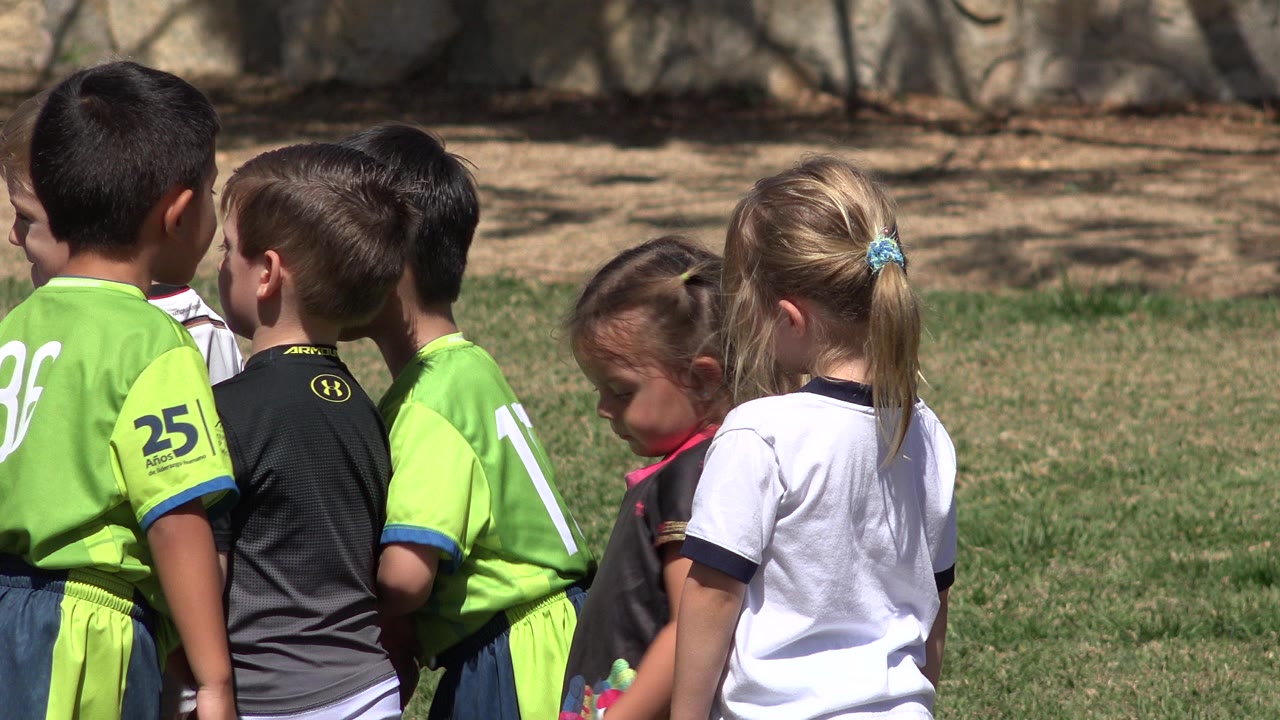 Children in soccer jerseys standing close together on grass.