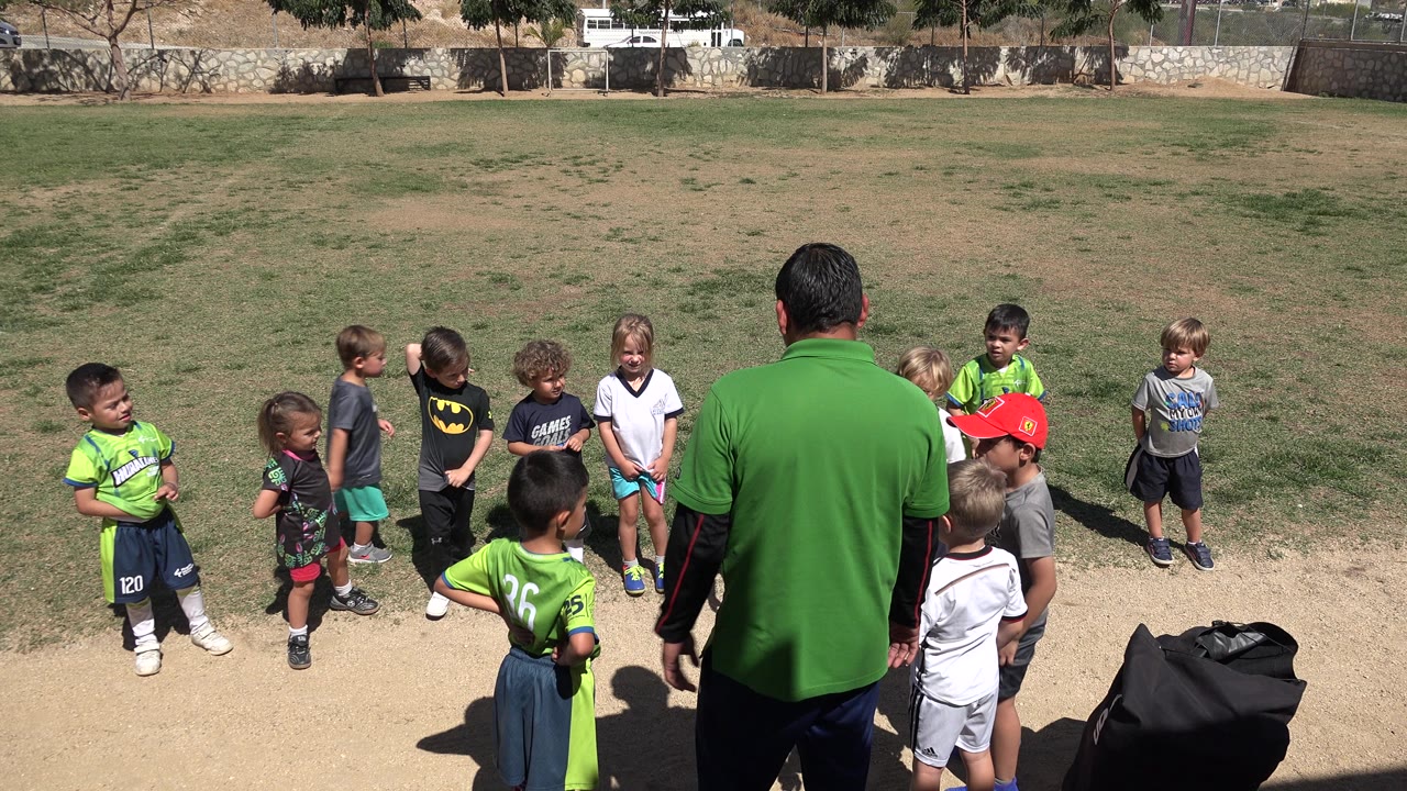 Adult in green shirt facing children on a sunny field.