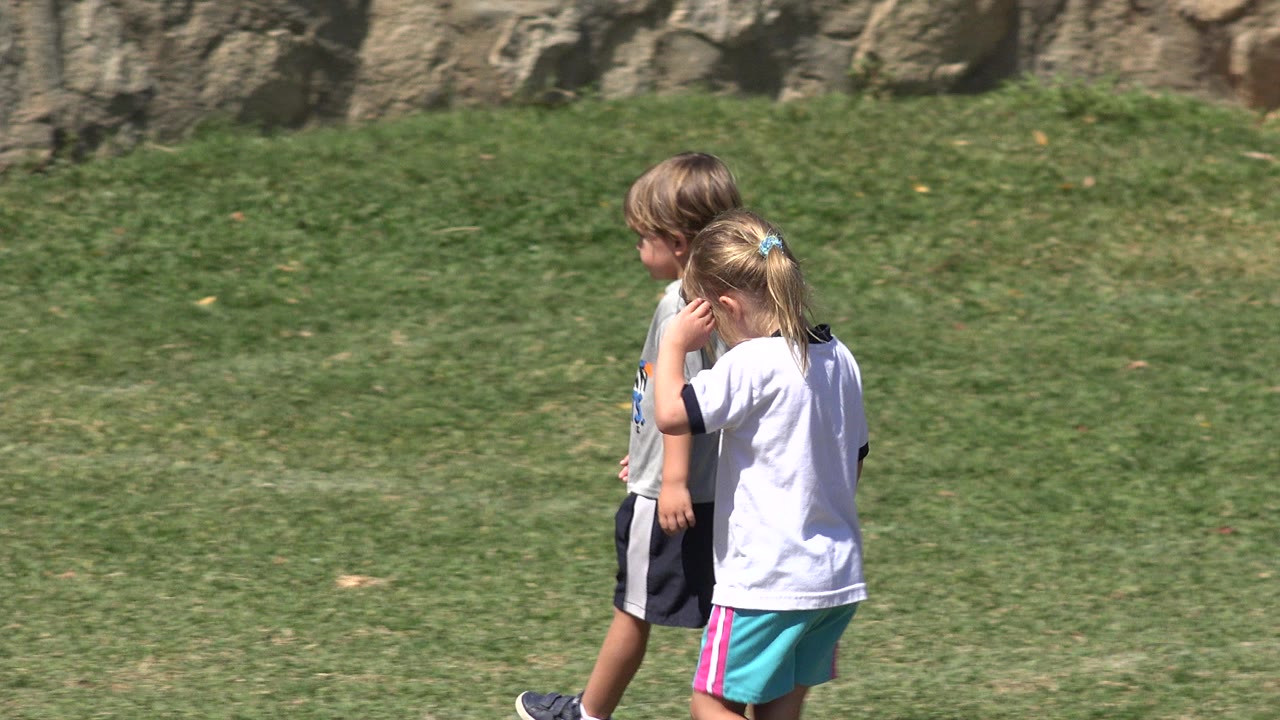 Two children walking across a grass field beside a stone wall.