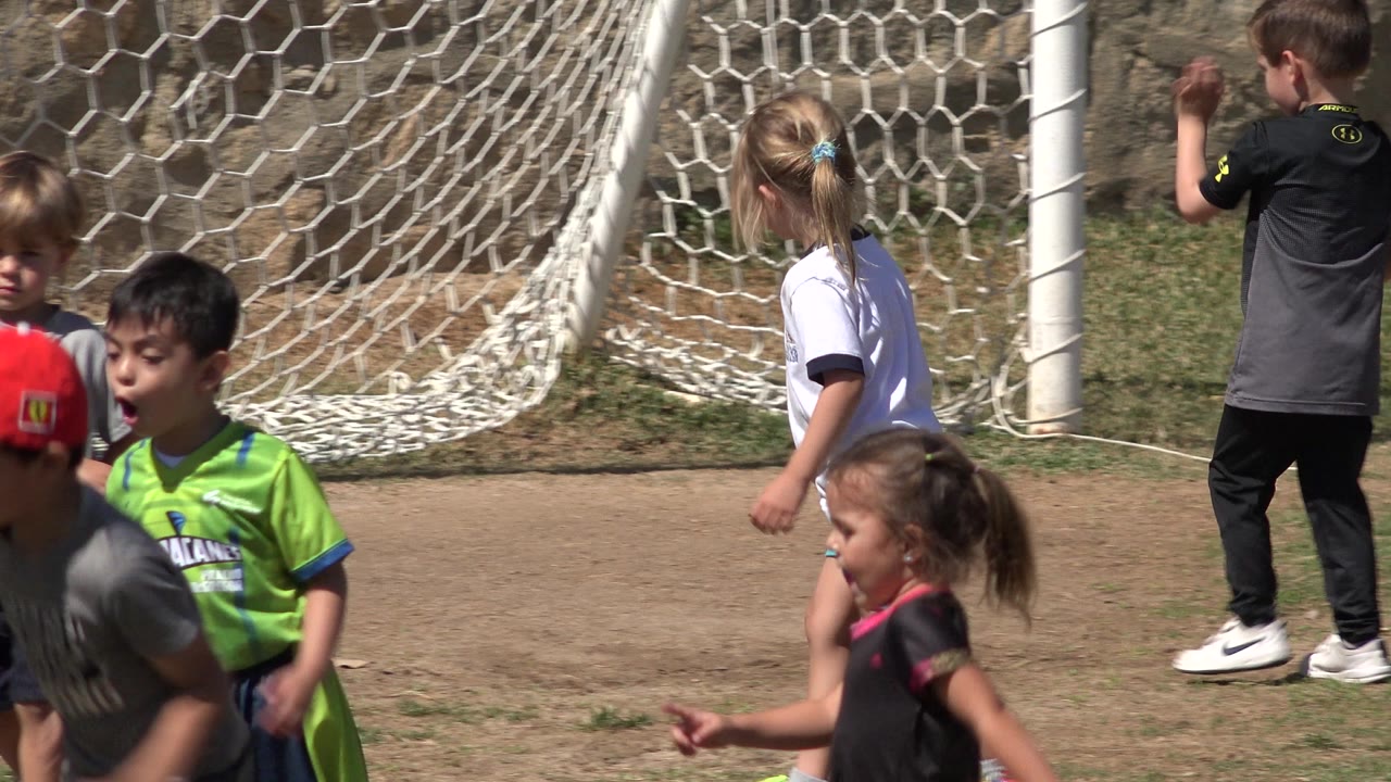 Children near a soccer goal on a sunlit field.