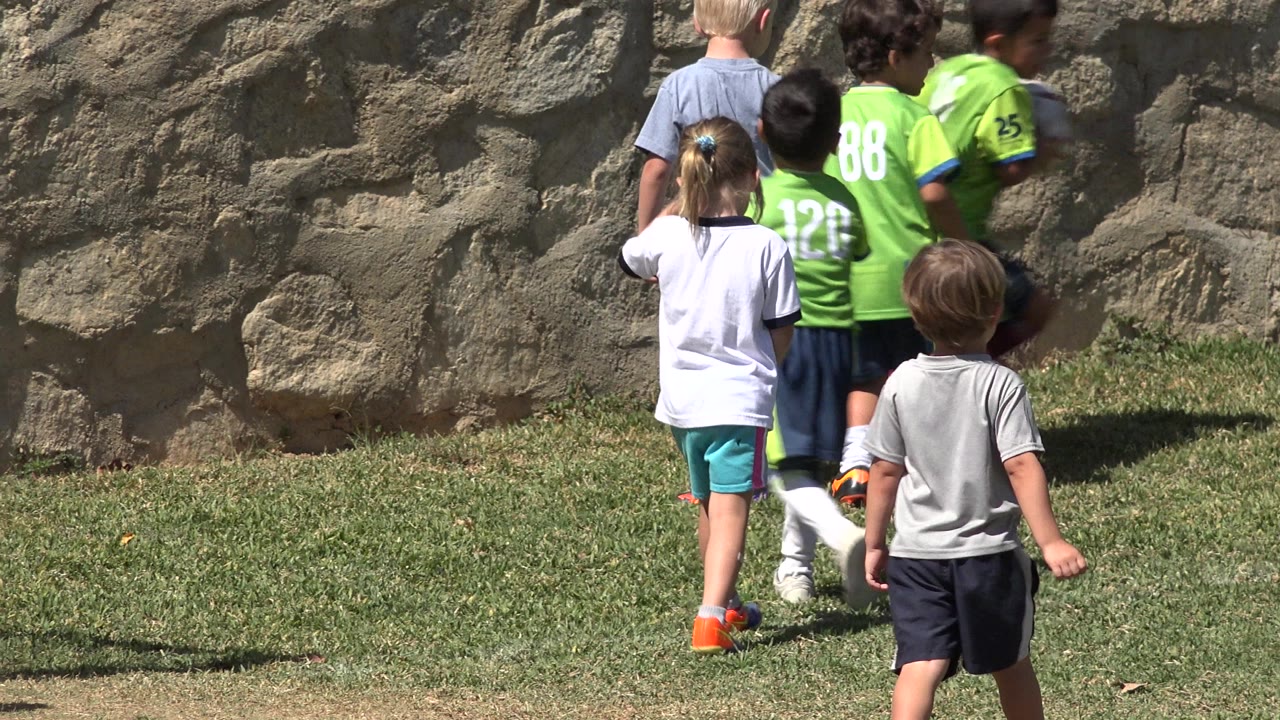 Children on a grass field near a stone wall during soccer practice.