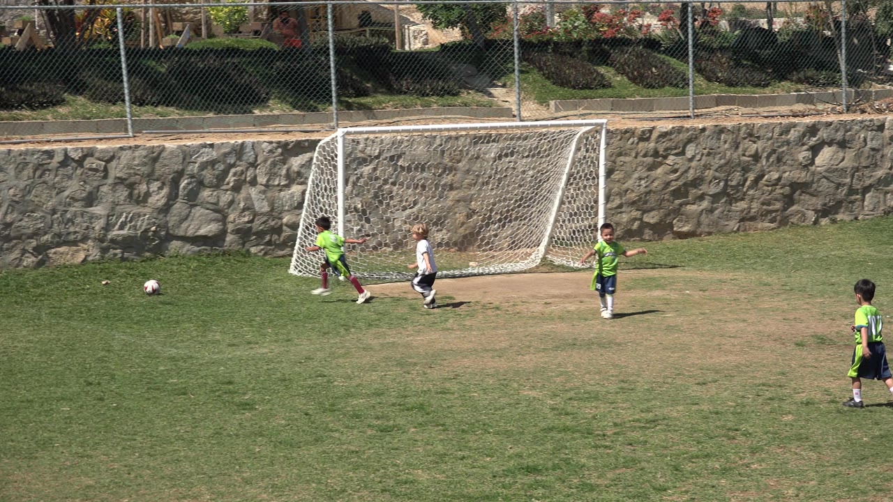 Children play soccer near a white goal on a grass field.