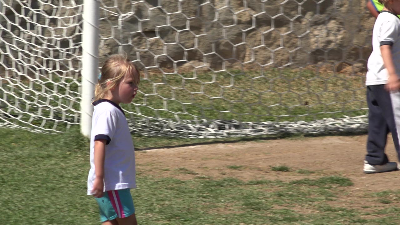 Young girl standing near a soccer goal on a grass field.