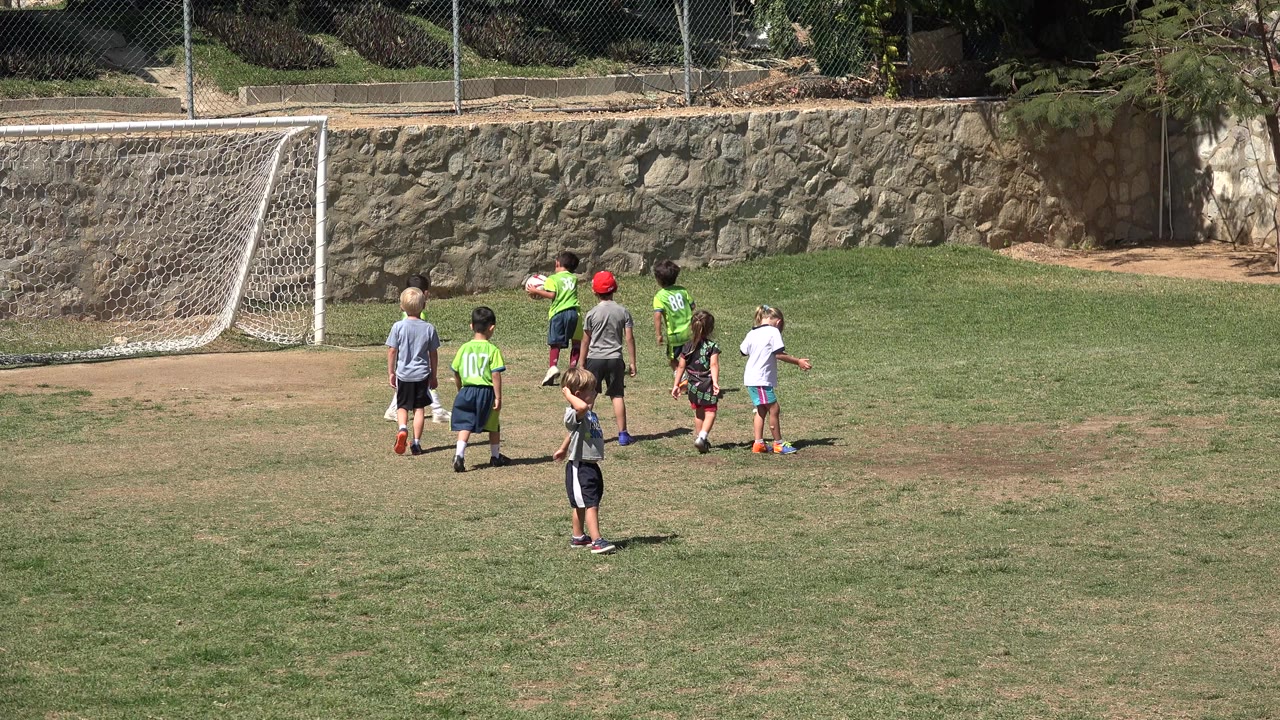 Children gather near a soccer goal on a grassy field.