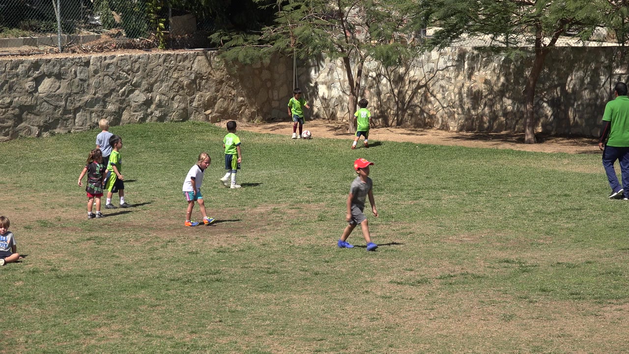 Children play soccer on a sunny grass field in San Jose del Cabo, Mexico, with a stone wall and trees behind them at the opening moment.