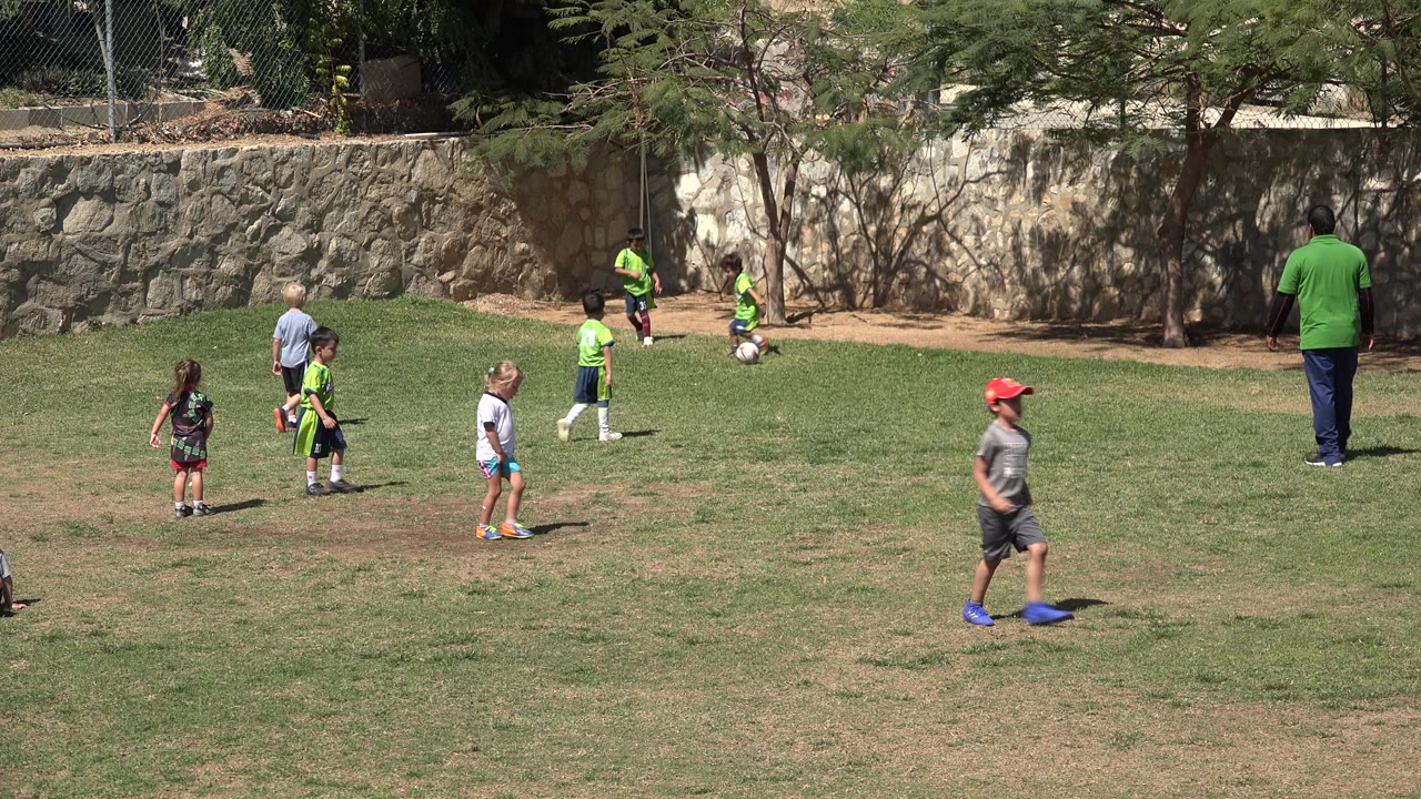 Children move around a soccer ball on a sunny field.