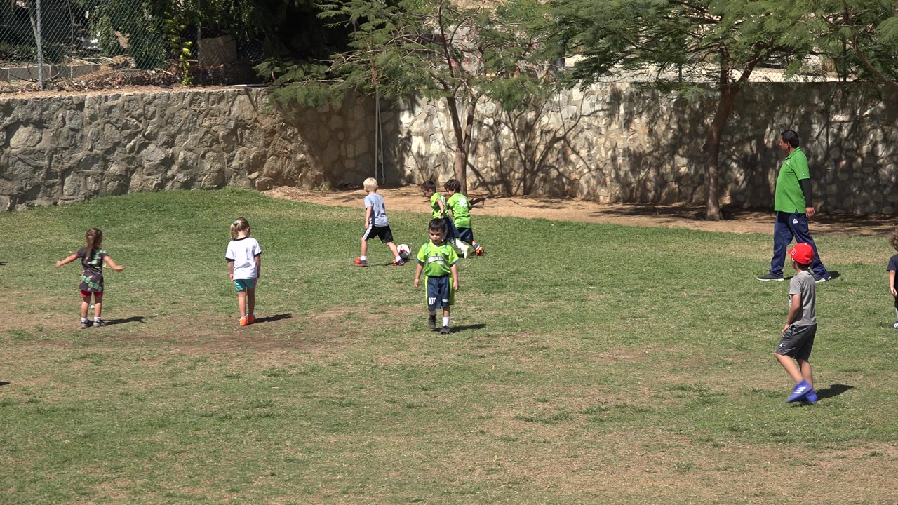 Children and a coach on a grass soccer field near a stone wall.