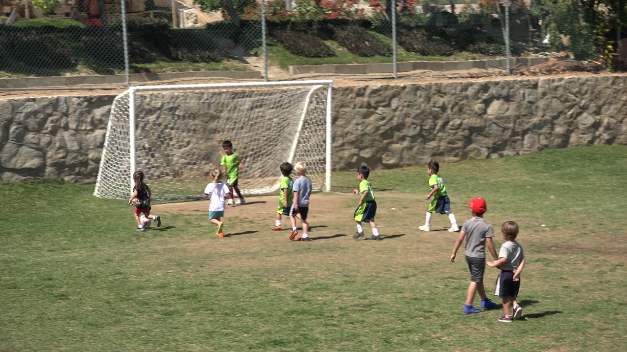 Children near a white soccer goal on a grass field.