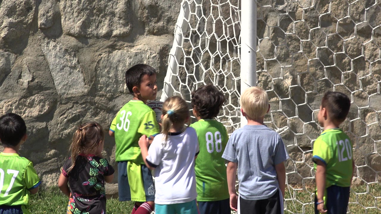 Children gathered near a soccer goal on a grass field.