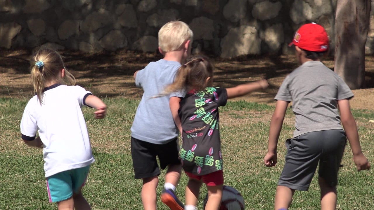 Children run away from the camera on a grass soccer field.