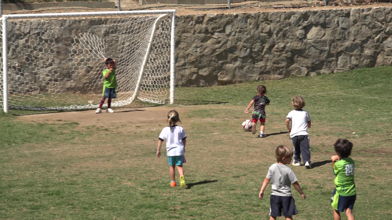 Children on a grass soccer field near a goal and goalkeeper.