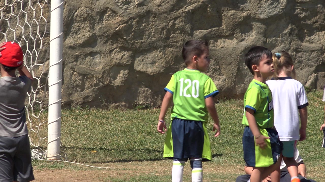 Children in soccer uniforms stand near a goal on a grass field.