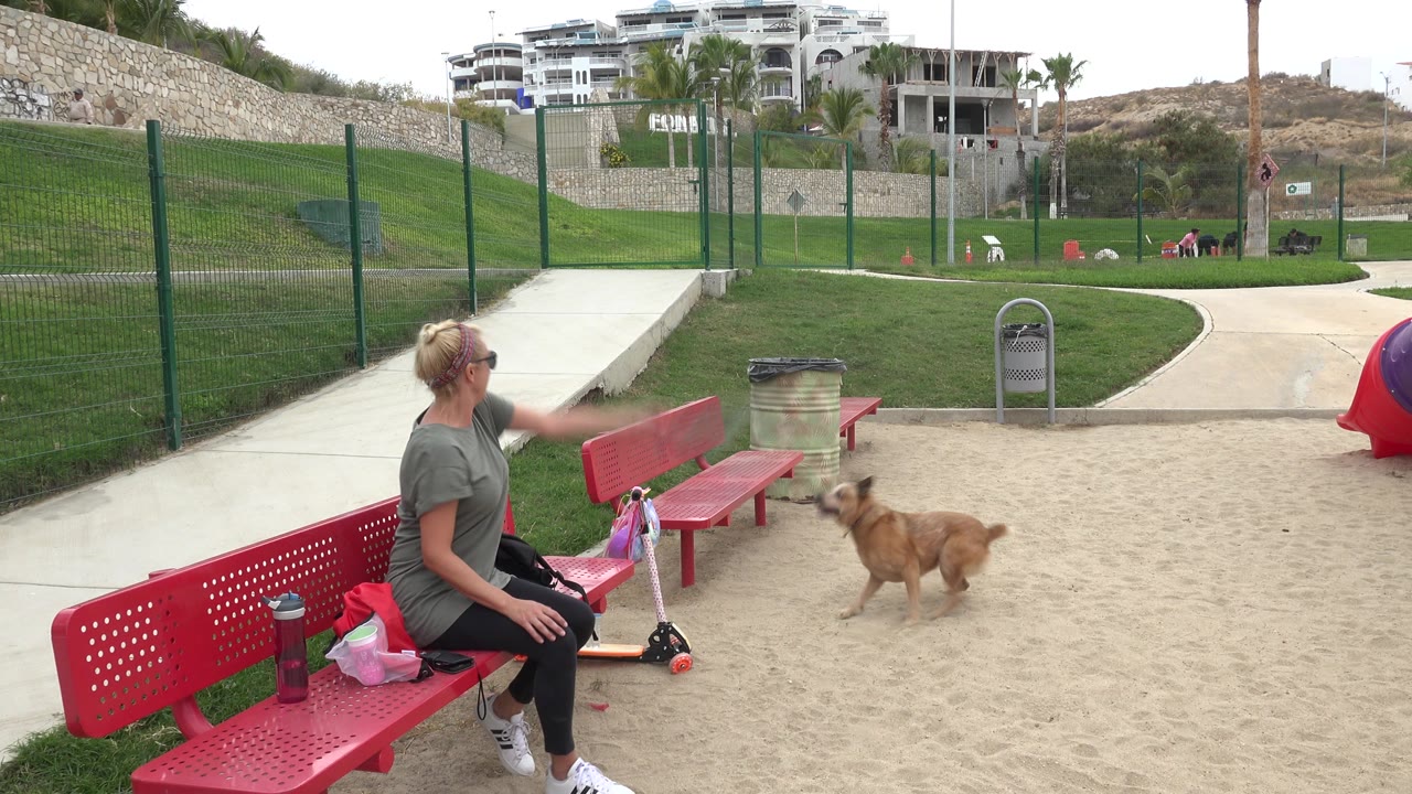 Woman on a red playground bench with a tan dog nearby.