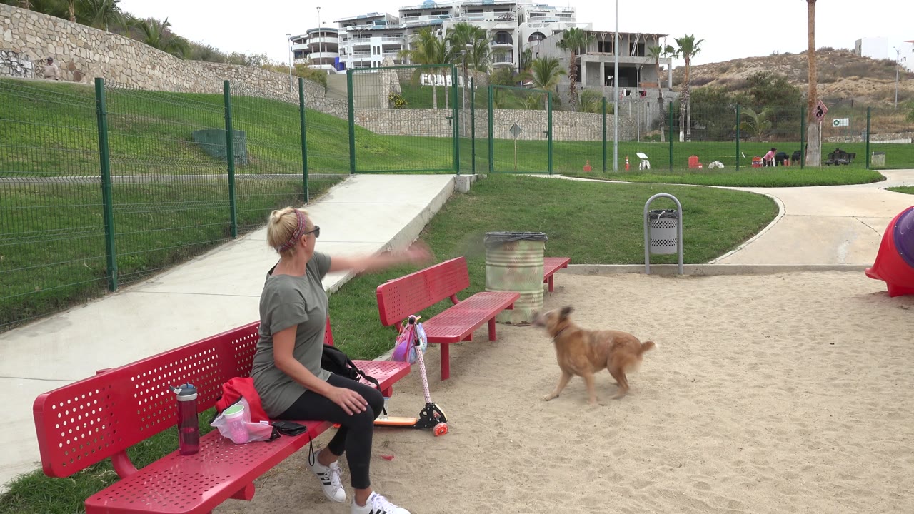 The seated woman gestures toward the playground while the tan dog moves across the sand, with red benches, a cylindrical trashcan, fenced grass, and hillside buildings behind her in San Jose Del Cabo.