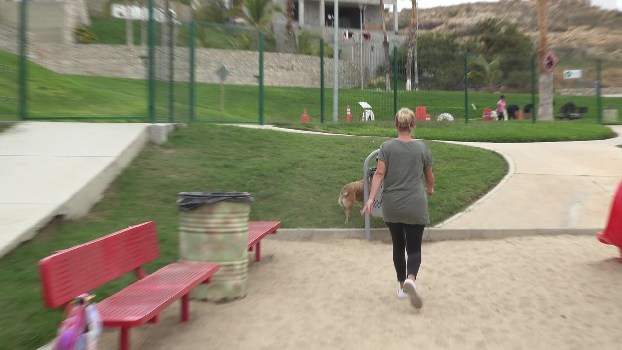 A blond woman in a gray shirt walks away through a San Jose del Cabo dog park with a tan dog nearby, with a red bench, receptacle, path, grass, and distant fencing visible.