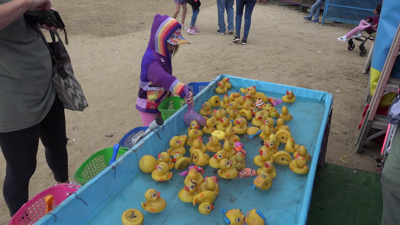 At 0:00 in San Jose del Cabo, Mexico, a little girl in a purple hooded coat reaches toward yellow rubber ducks floating in a blue game pool while adults stand nearby.