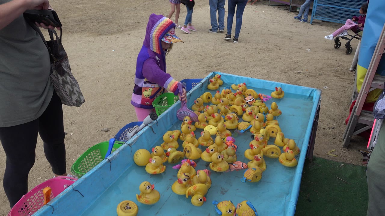 At 0:01 in San Jose del Cabo, Mexico, the child leans over the left edge of the blue pool as clusters of yellow rubber ducks gather near the center and an adult stands in the foreground.