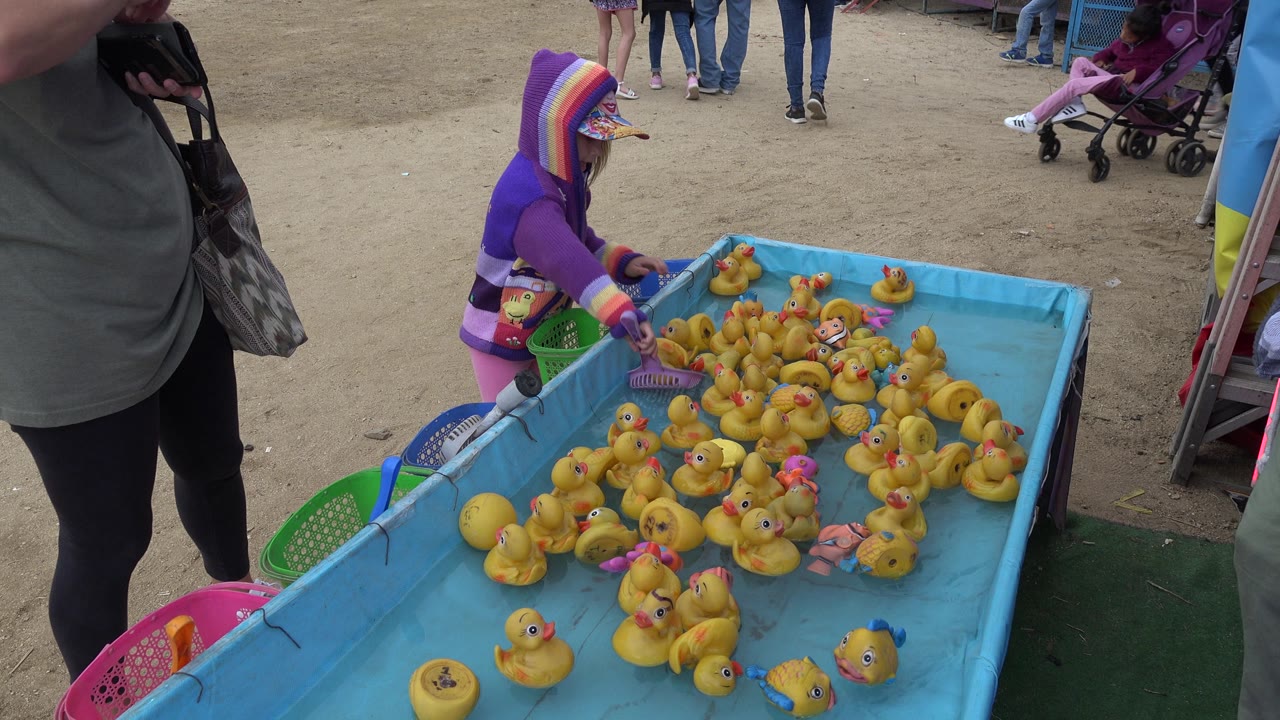 Girl uses a scoop near rubber ducks in a blue water trough.