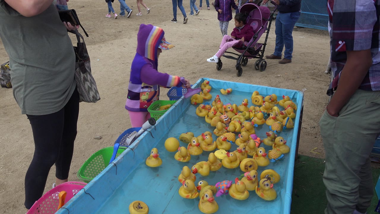 Child in a purple hood reaches toward rubber ducks in a blue game tank.