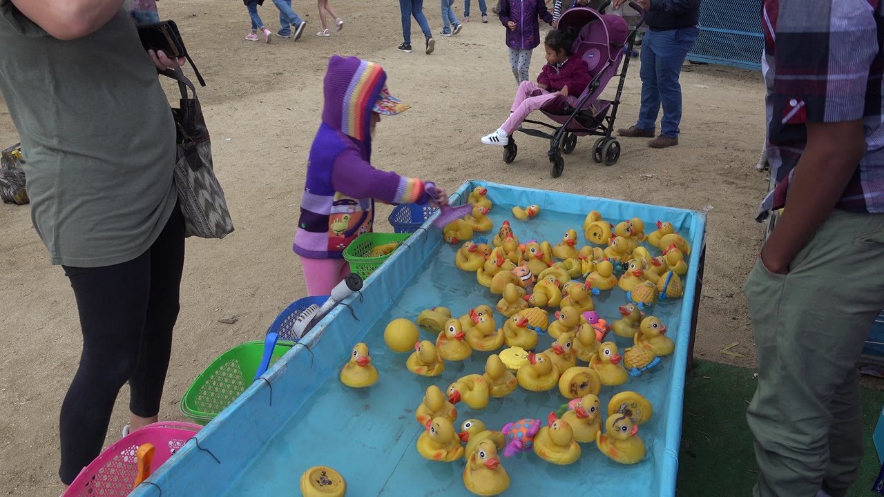 At 0:01, the child leans closer over the blue duck pond tank in San Jose del Cabo, with many yellow rubber ducks clustered on the water and adults standing at both sides of the frame.